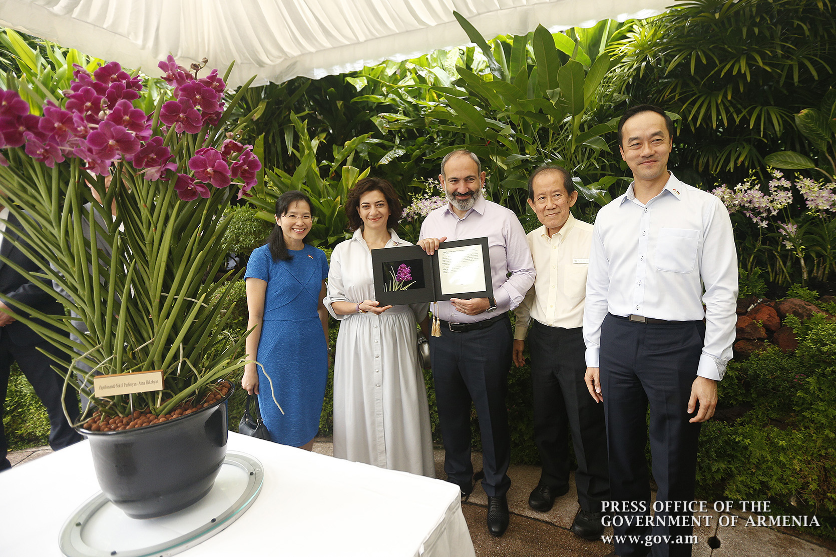 Новый вид "Армянской орхидеи" Сингапура назван в честь Пашиняна и его супруги  