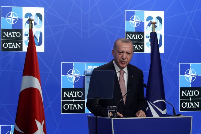 Немецкая газета Die Welt: «Конфронтационный внешнеполитический курс Эрдогана и что за этим стоит» 