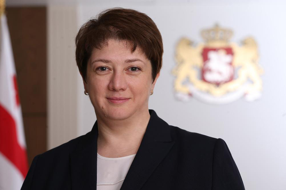 Вице-премьер Грузии в Ереване: Транзитное сообщение через Абхазию и Южную Осетию на данном этапе невозможно 
