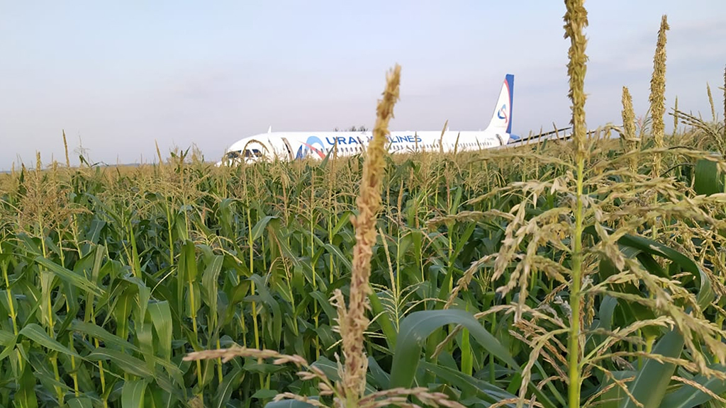 Аварийная посадка самолета Airbus А-321 рядом с «Жуковским» 