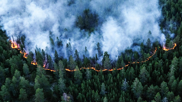 СМИ: Горят 10 млн гектаров леса - а пожарные тушат огонь вручную 