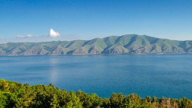 В Армении на побережье озера Севан открылся армяно-белорусский лес дружбы 