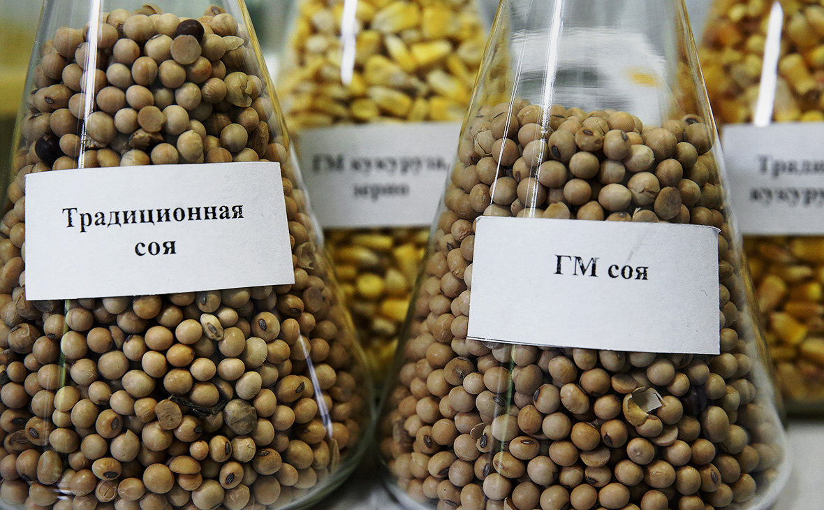 Россия переходит на ГМО продукцию 