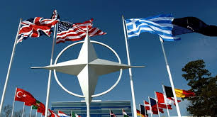 Турция со скандалом покинула первую виртуальную конференцию НАТО 
