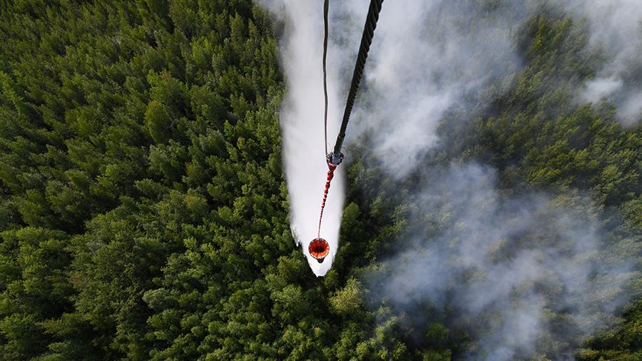 СМИ: в Сибири в огне уже до 4,5 млн гектар леса, а тушат только 6% пожаров 