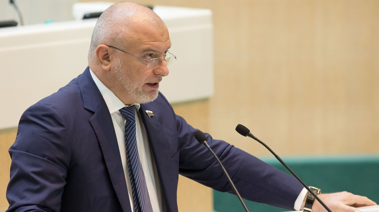 Сенатор Клишас призвал привлекать к ответственности организаторов «облав» 