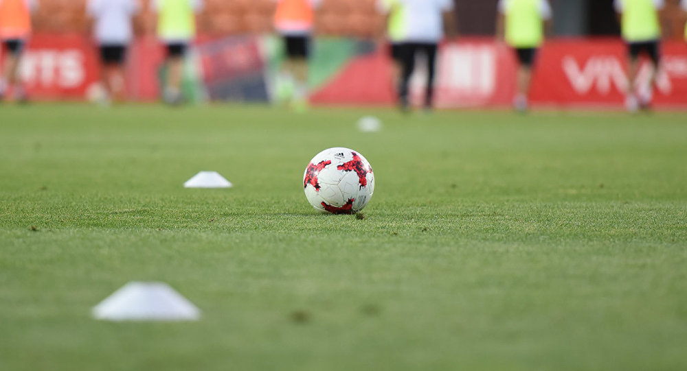 В Армении состоятся выборы председателя и исполнительного комитета Федерации футбола  