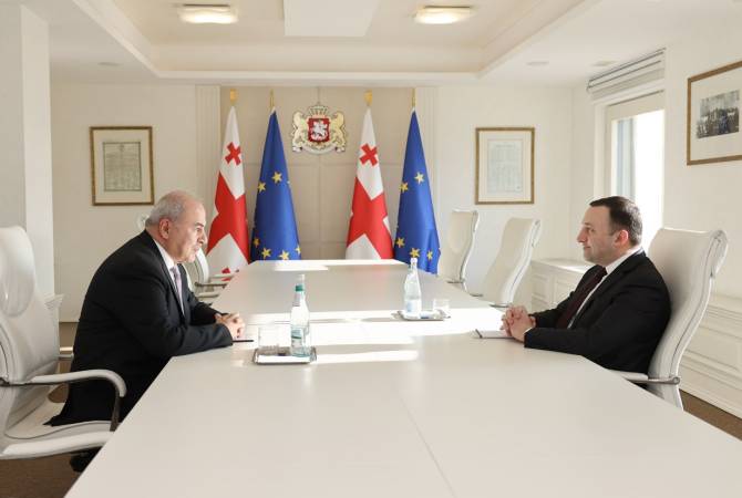 Премьер-министр Грузии Ираклий Гарибашвили встретился с новоназначенным послом Грузии в Армении 