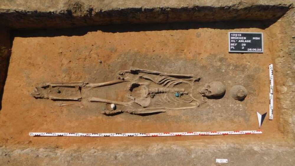 Генетики раскрыли тайну происхождения славянских народов 