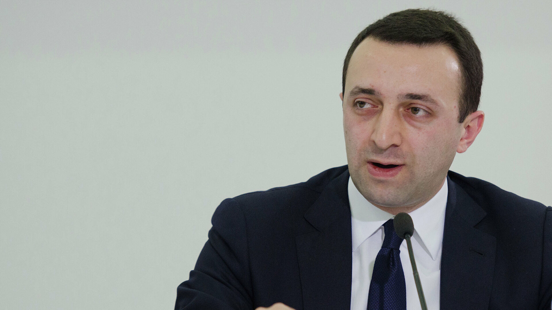 Кандидат в премьеры Грузии Гарибашвили назвал Саакашвили позором нации и армии 