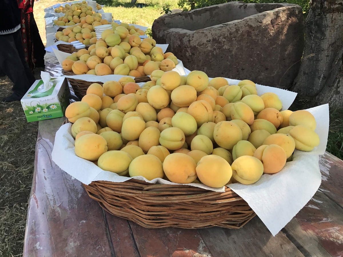 Ереванские абрикосы