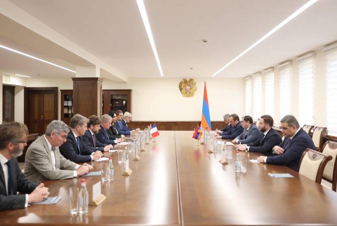 Министр обороны Армении принял делегацию французских депутатов 