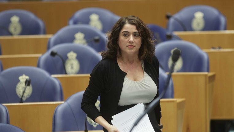 Член парламента Нидерландов: Опасные призывы начать войну с Арменией со стороны Азербайджана, которые поощряются Турцией 