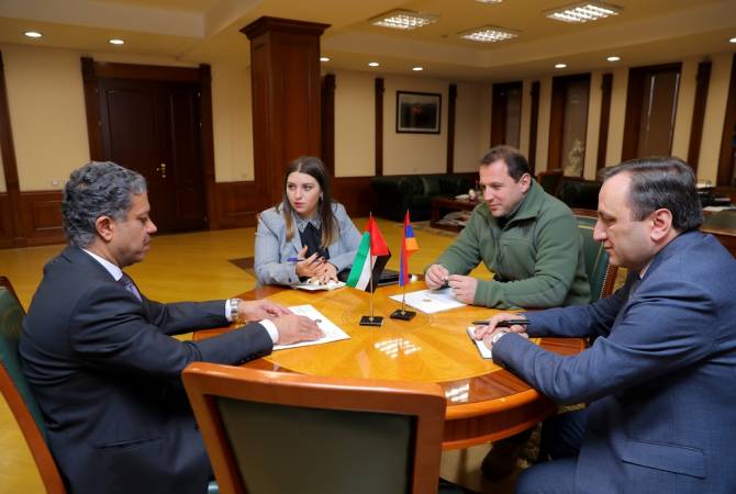 Власти ОАЭ пригласили Давида Тонояна принять участие в международной конференции и выставке IDEX 2019  