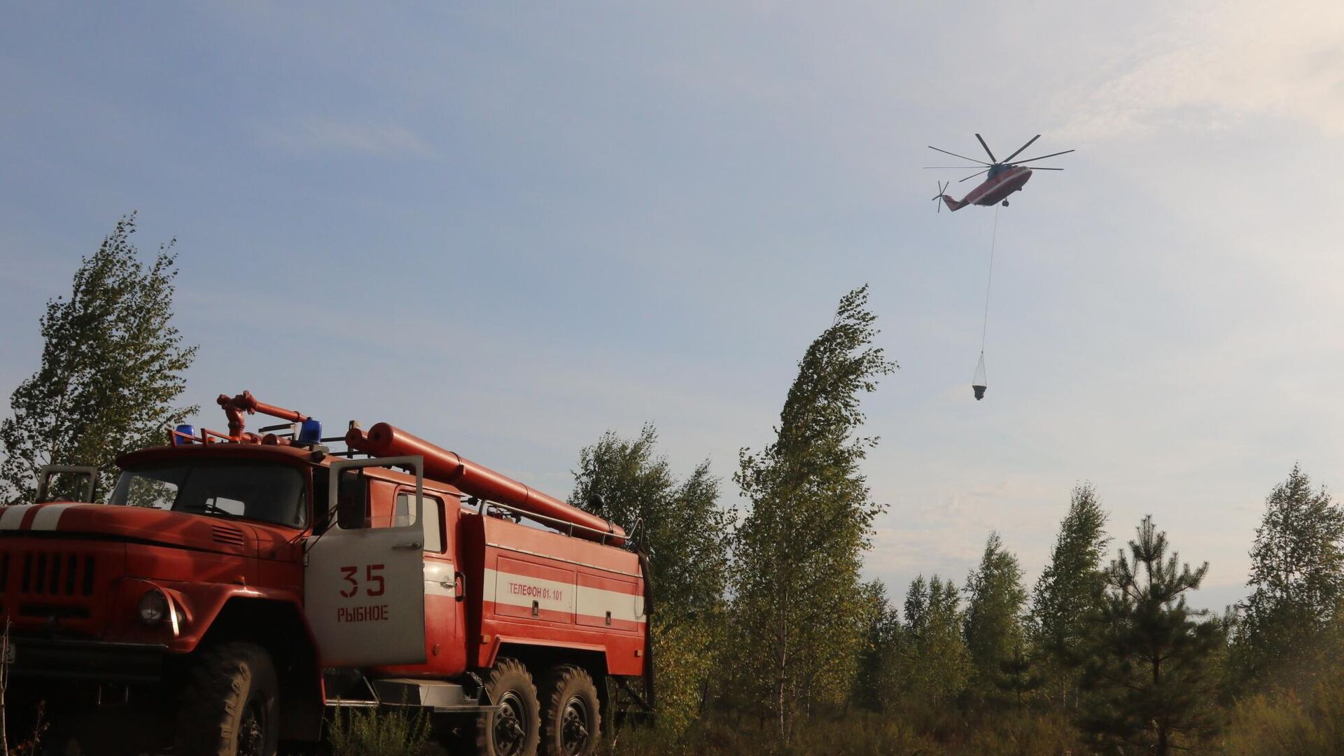 Пожары в Рязанской области затронули около 6000 га леса 