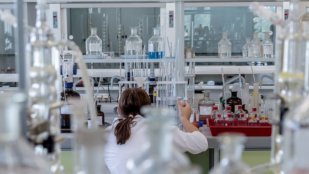 МИД Армении: Иностранных, и в частности, американских лабораторий на территории Армении нет  