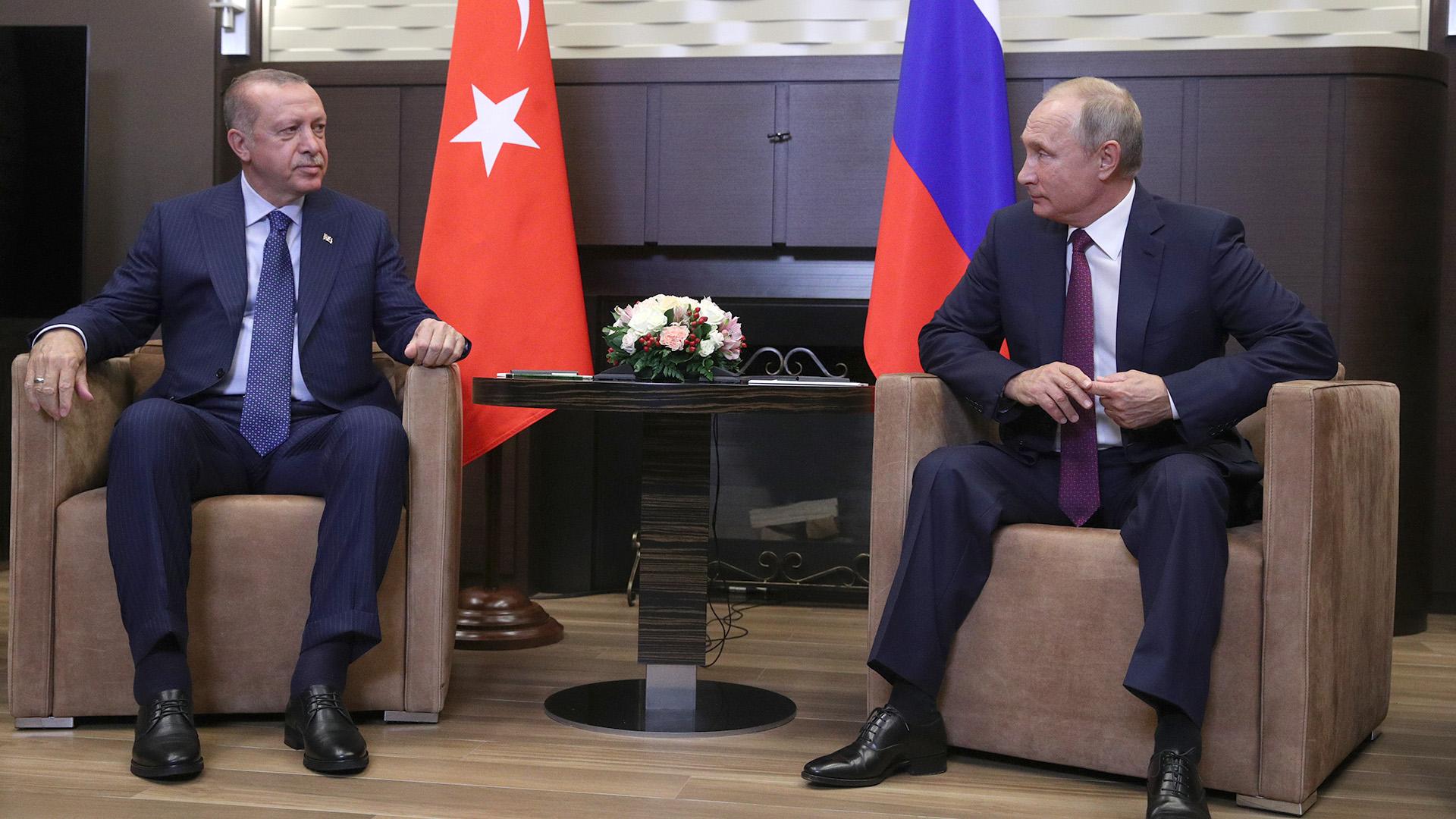 Эрдоган заявил Путину, что Турция поддерживает Азербайджан в конфликте с Арменией 