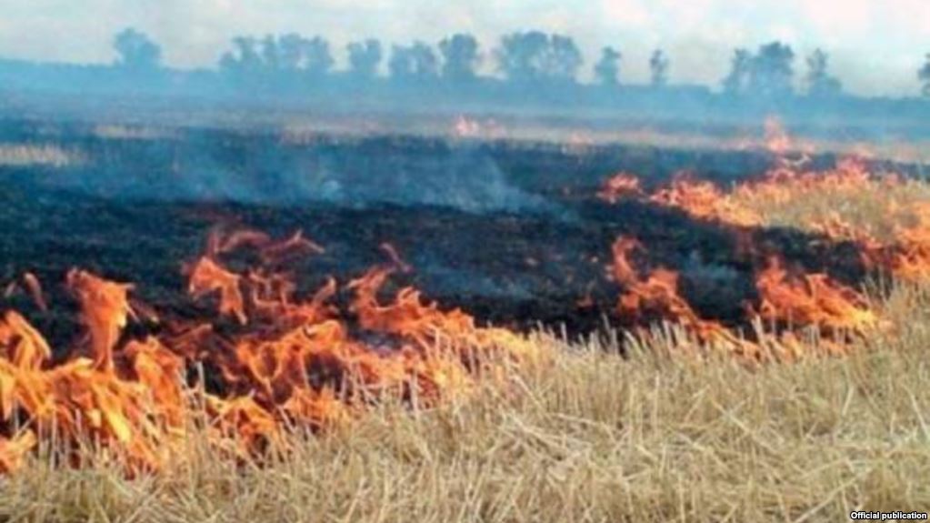 На армяно-грузинской границе бушуют пожары 