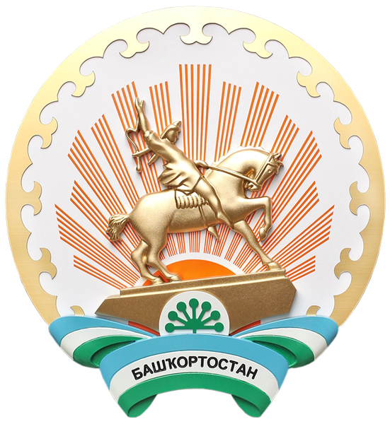 Сотрудничество организации ДИАЛОГ с Республикой Башкортостан 
