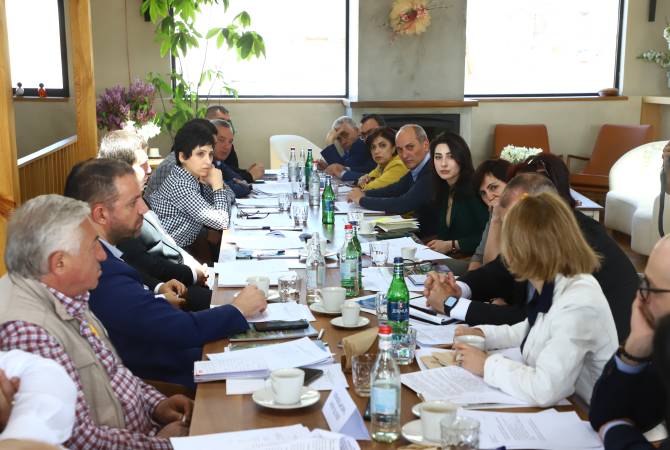Армения. Состоялось первое заседание межведомственной рабочей группы инвестиционной программы "Гагарин" 