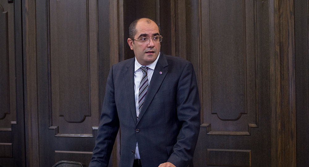 Исполняющий обязанности министра спорта и по делам молодежи Армении присоединился к протестующим 