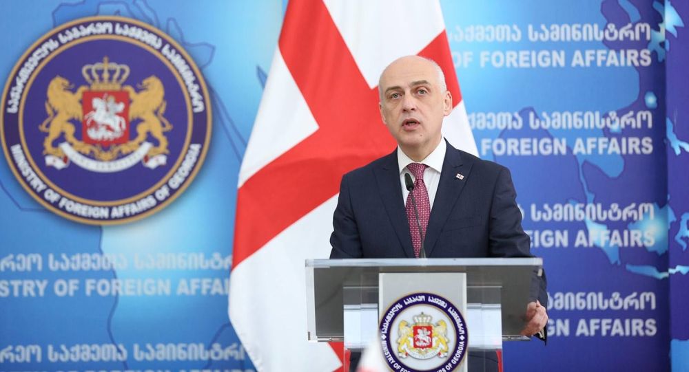 Глава МИД Грузии: Мы очень активно работаем с нашими стратегическими партнерами – Турцией и Азербайджаном 