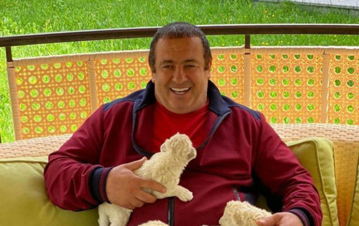 Миллиардер, лидер партии "Процветающая Армения" Гагик Царукян подарит своего льва Ереванскому зоопарку 