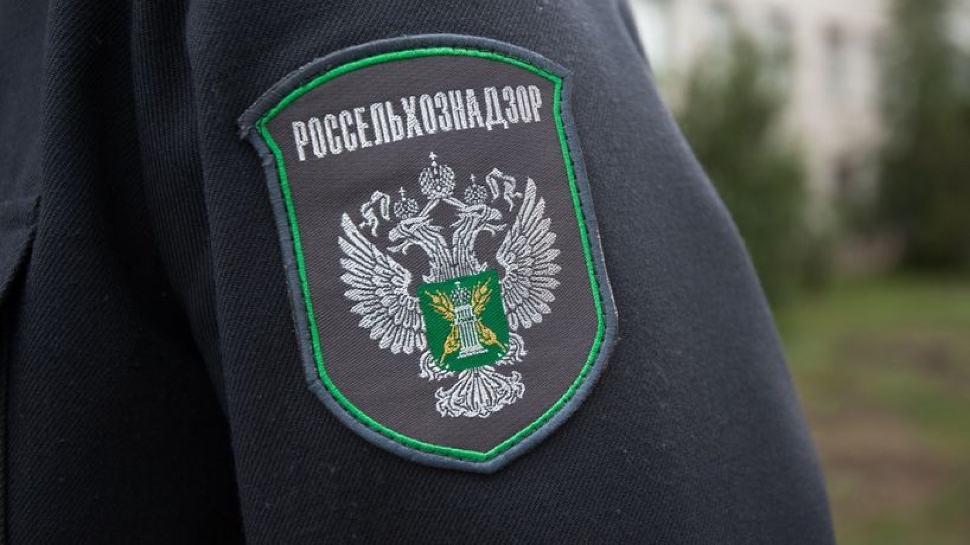 Россельхознадзор ограничил ввоз в Россию форели из Армении 