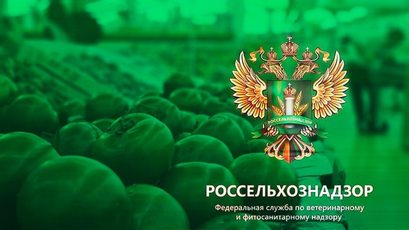 Россельхознадзор разрешил частичный ввоз томатов из Азербайджана: в новых партиях снова обнаружена томатная моль 