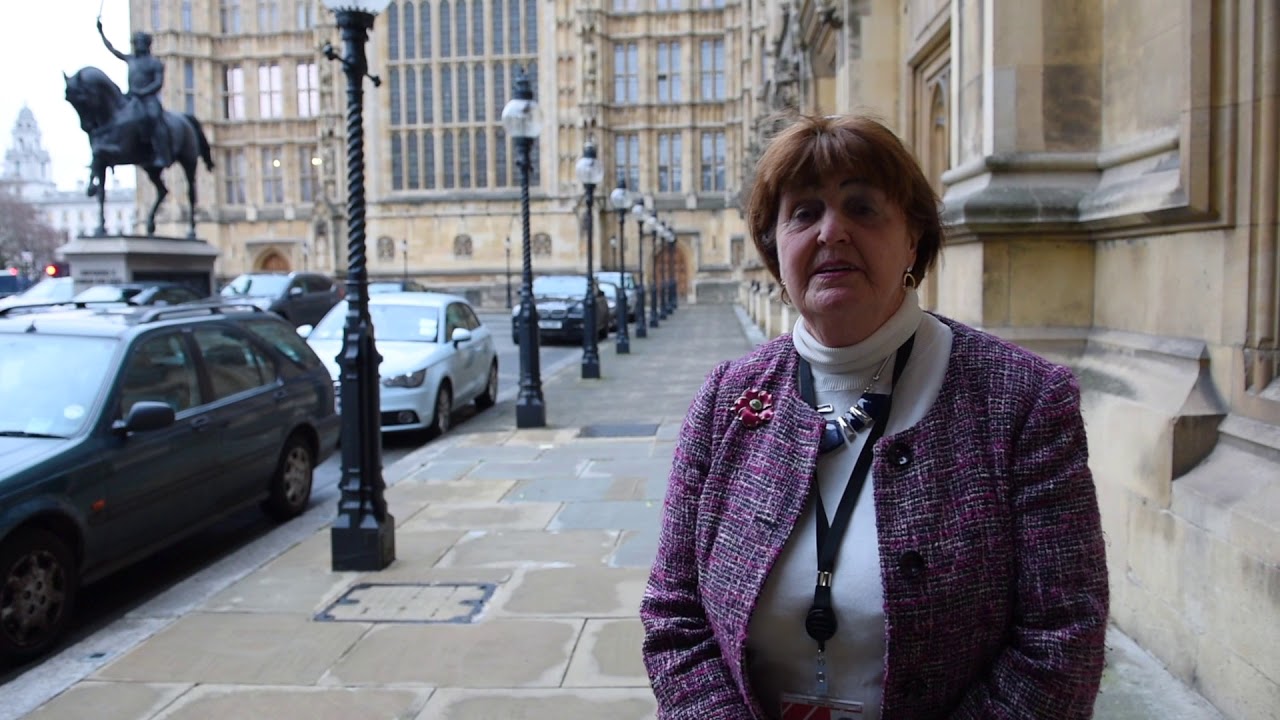 Баронесса Кэролайн Кокс призвала министра ИД Великобритании осудить агрессию Азербайджана 