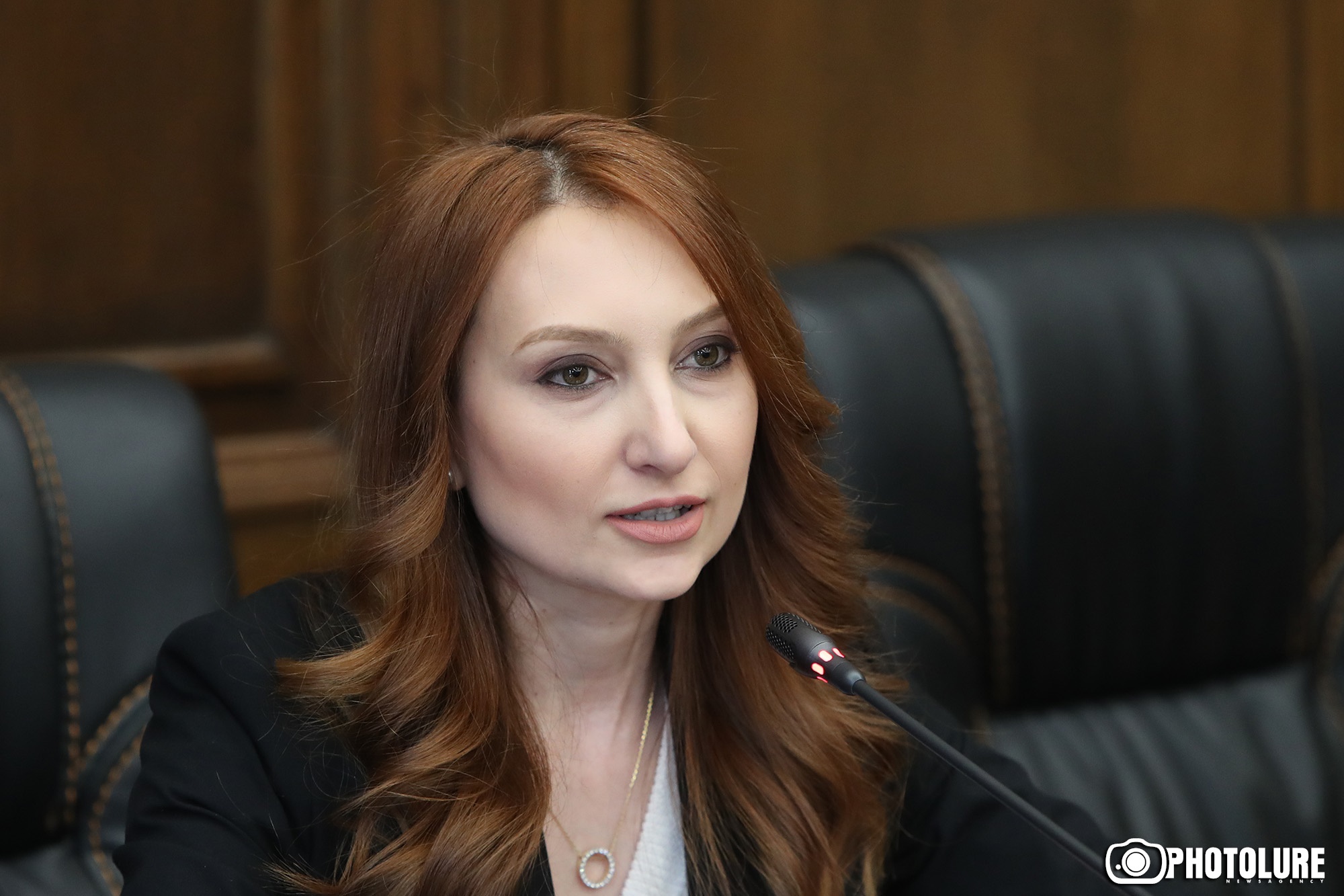 Глава Армянского центра американских исследований о возможном назначении Макунц послом в США: Ни опыта, ни политического веса 