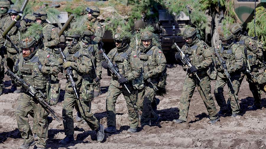 Шойгу заявил об увеличении группировки НАТО у границ России 