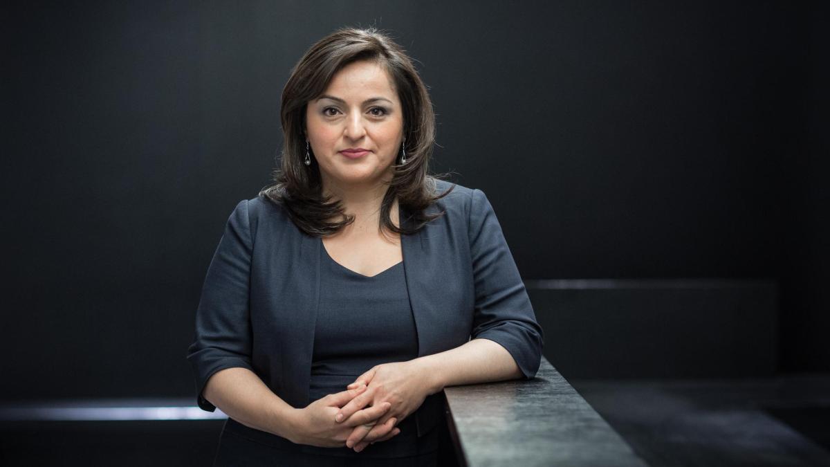 Депутат Бундестага турецкого происхождения: Европа должна прекратить экспорт оружия в Турцию 