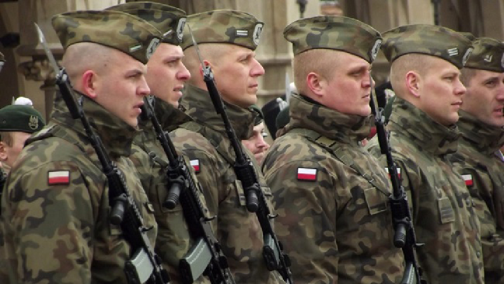 Нарышкин заявил о планах Польши установить контроль над частью Украины 