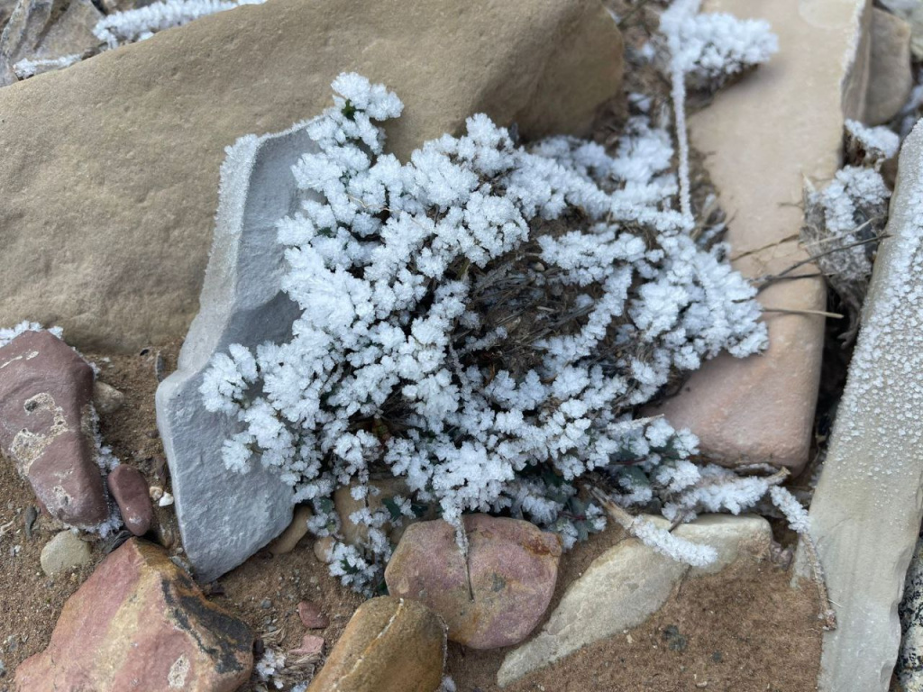 2026-01-07 20.40.46.jpg