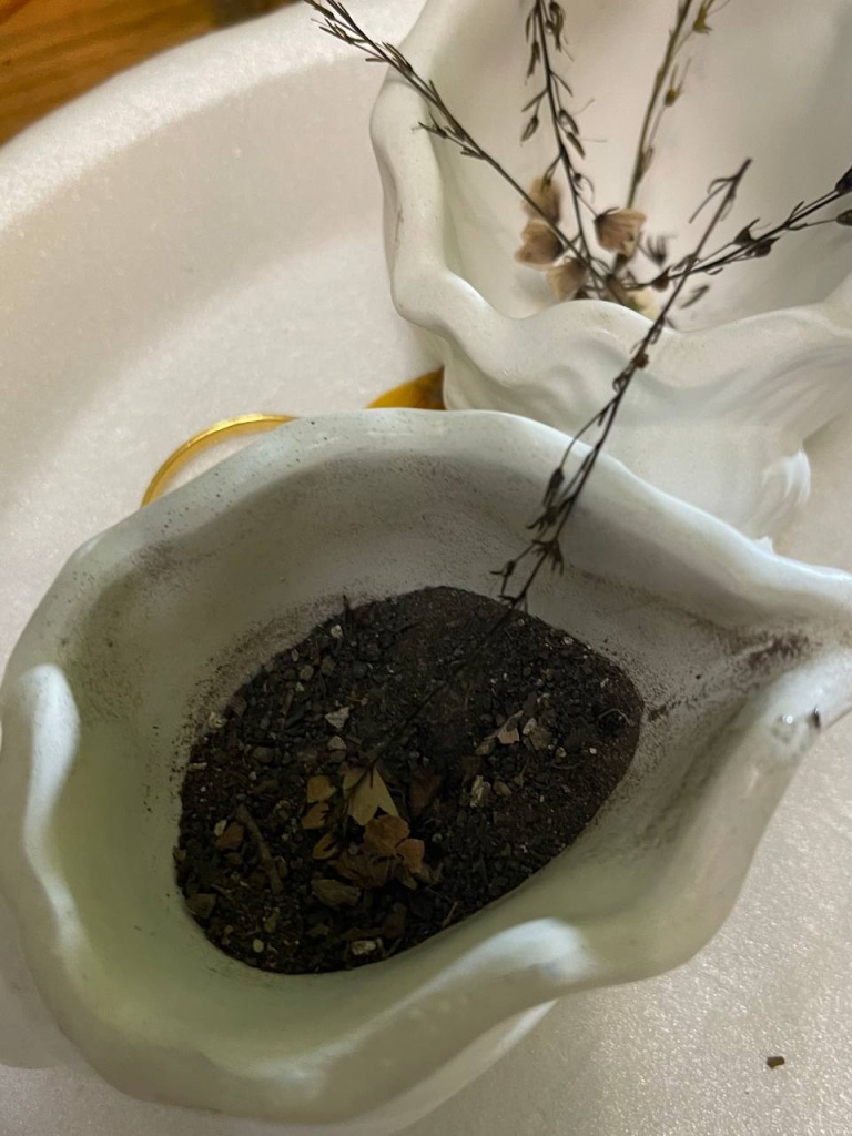 2025-11-17 16.12.33.jpg